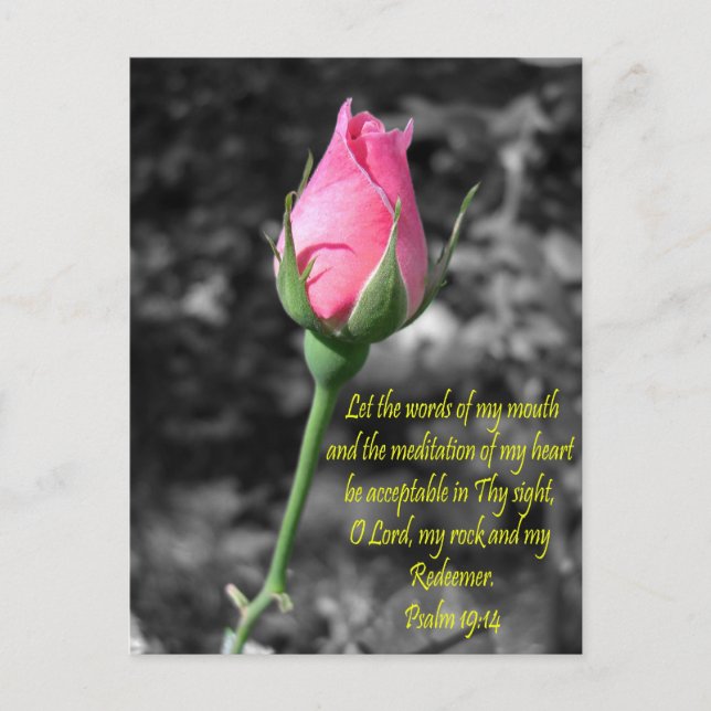 Carte Postale Rose rose 4 psaume 19:14 (Devant)