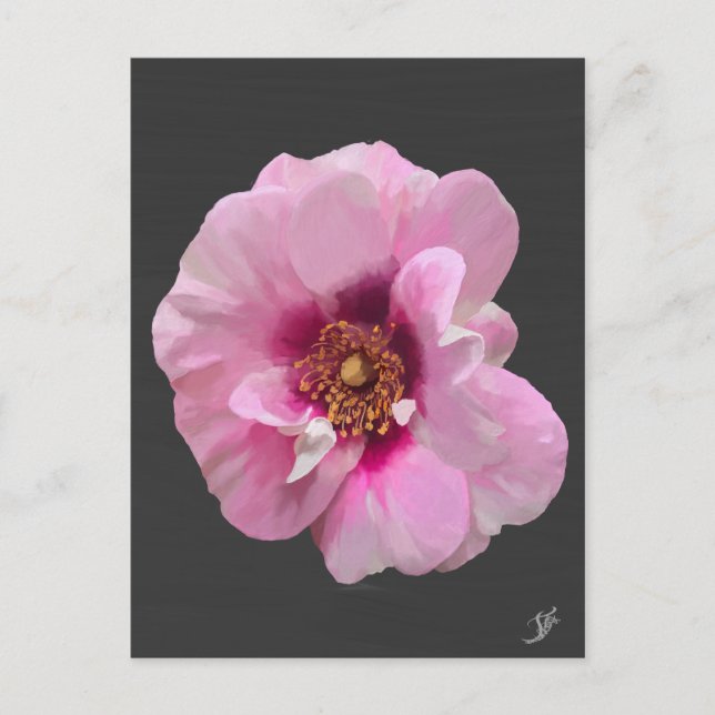 Carte Postale Rose rose avec Purple Heart - peinture à l'huile (Devant)