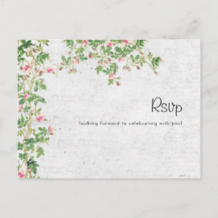 Carte Postale Rose Rose Vieux Mur Vintage Style Mariage Journal