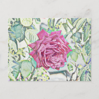 Carte Postale Rose rouge