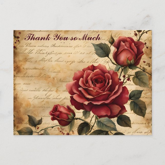 Carte Postale Rose rouge sur le vieux Merci de parchemin (Devant)