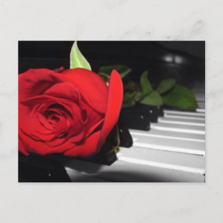 Carte Postale Rose rouge sur piano