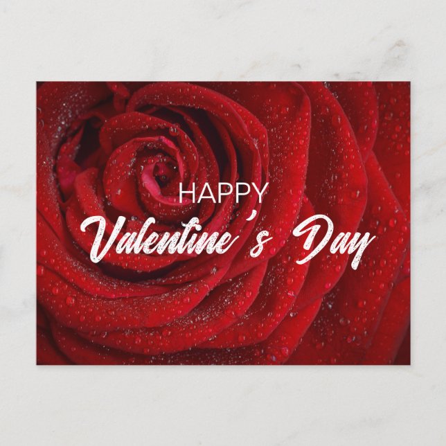 Carte Postale Rose rouge, Valentine (Devant)