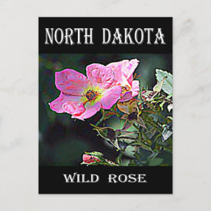 Carte Postale Rose sauvage du Dakota du Nord