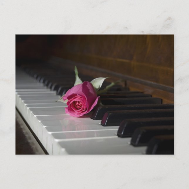 Carte Postale Rose sur piano (Devant)