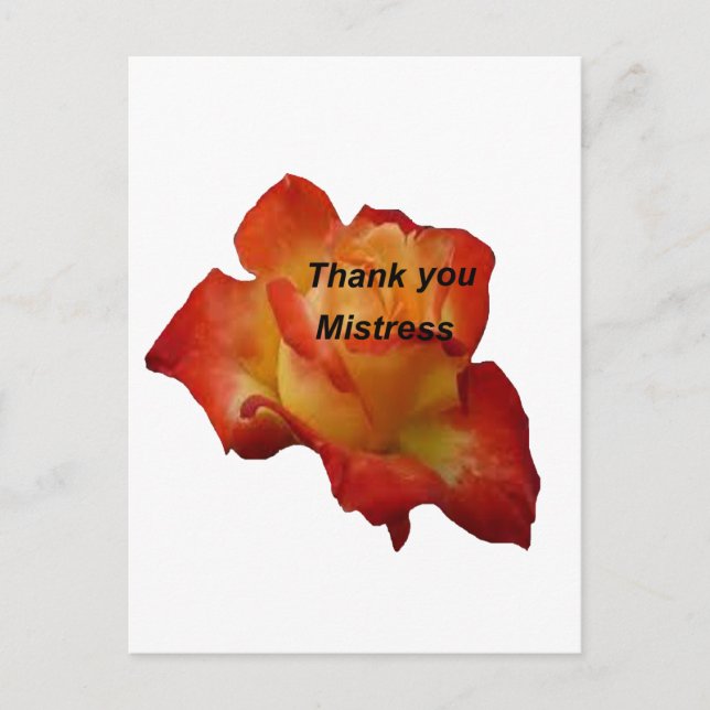 CARTE POSTALE ROSE THANK YOU MISTRESS 1.PNG (Devant)