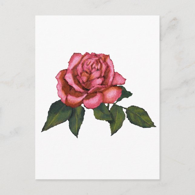 Carte Postale Rose unique : Dessin de crayon couleur : Art (Devant)