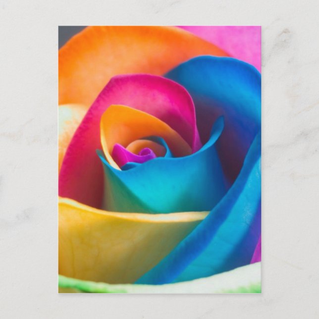 Carte Postale Rose unique Tye Dye (Devant)
