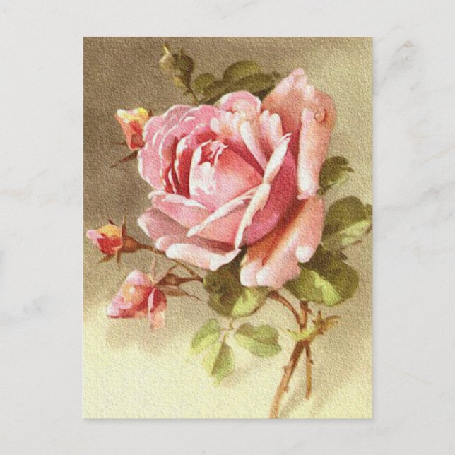 Carte Postale Rose victorienne texturale magnifique (Devant)