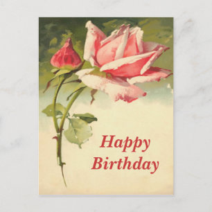 Carte postale rose vintage