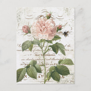 Carte postale rose vintage