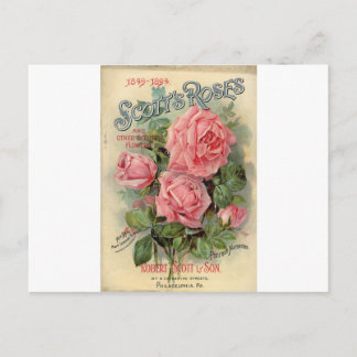 Carte Postale Rose vintage