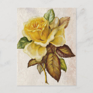 Carte Postale Rose Vintage jaune