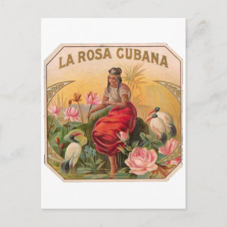 Carte Postale Rosée cubana Diseño Vintage Cuba