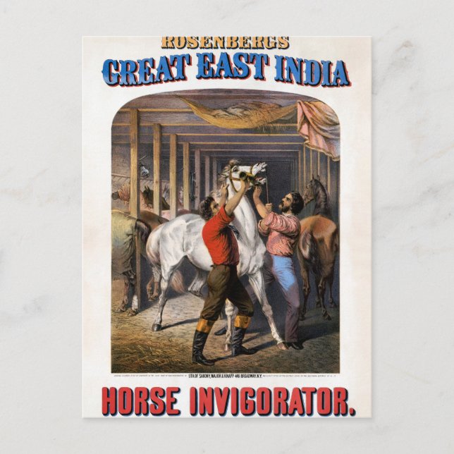 Carte Postale Rosenberg's Great East India Horse Invigorator. (Devant)