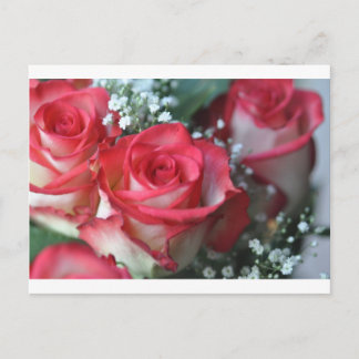 Carte Postale roses