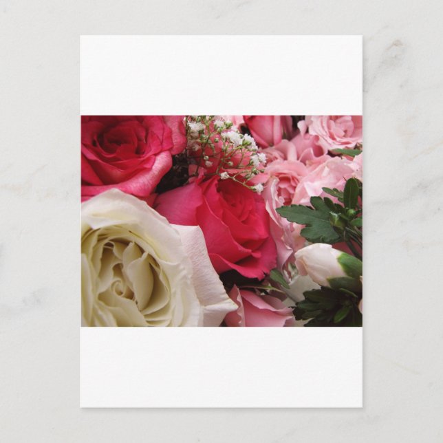 Carte Postale Roses (Devant)