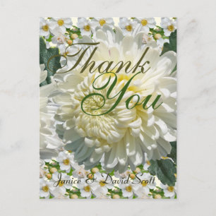 Carte Postale Roses blanches et Merci Mariage de chrysanthème