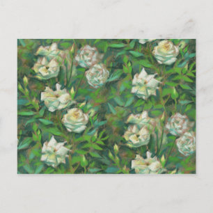 Carte Postale "Roses blanches, feuilles vertes", belles fleurs