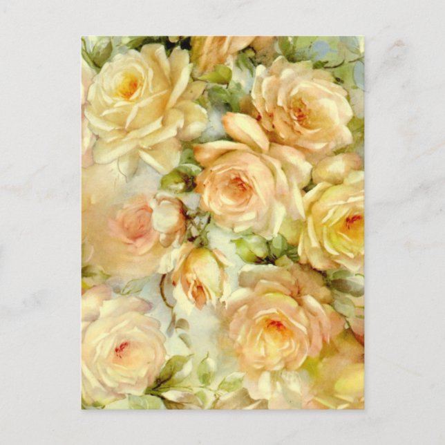 Carte Postale Roses de la paix (Devant)