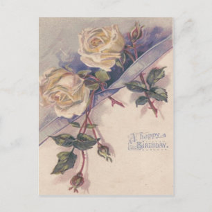 Carte Postale Roses Fleurs de Rosier Rose Blanche