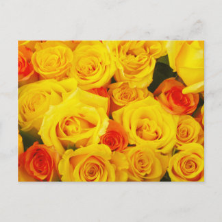 Carte Postale Roses Jaunes Paris