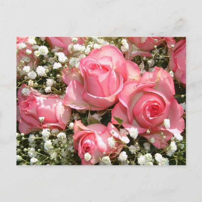 Carte Postale Roses rose | (Devant)