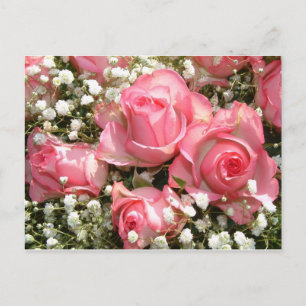 Carte postale Roses roses