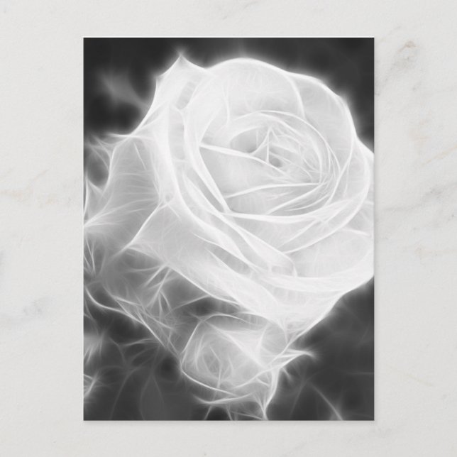 Carte Postale Roses roses dans Anzures 2 Cristal (Devant)