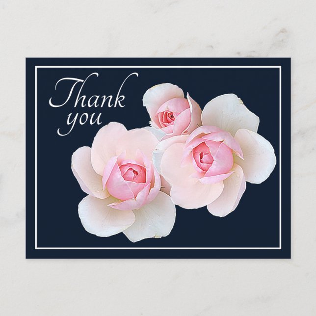 Carte Postale Roses roses fond naval Merci (Devant)