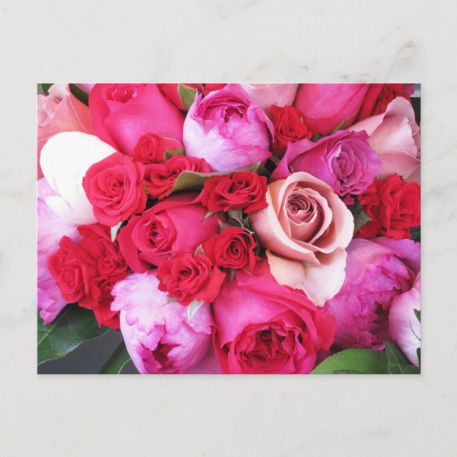 Carte Postale Roses roses Paris (Devant)