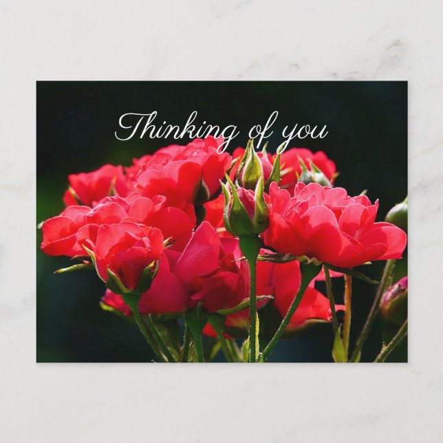Carte Postale Roses roses profondes, "Penser à toi" (Devant)