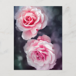 Carte Postale Roses roses roses féministes Floral Photo