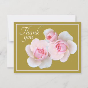 Carte Postale Roses roses roses Olivier Merci Arrière - plan