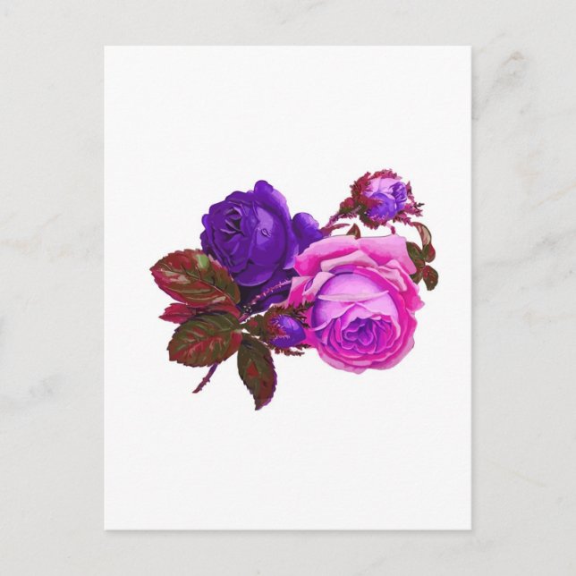 Carte Postale Roses roses vintages - Cadeaux (Devant)