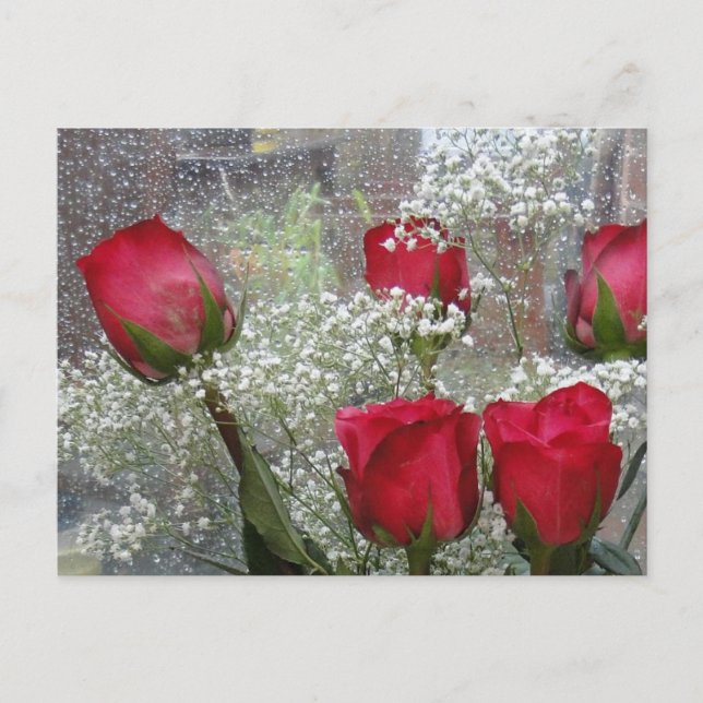 Carte Postale Roses rouges (Devant)