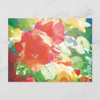 Carte Postale roses rouges