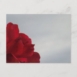 Carte Postale Roses rouges contre un ciel bleu vif