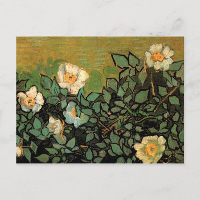 Carte Postale Roses sauvages (F597) Van Gogh Fine Art (Devant)