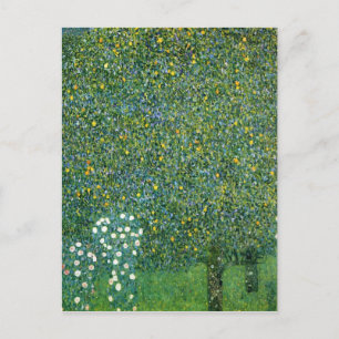 Carte Postale Roses sous les arbres mignons