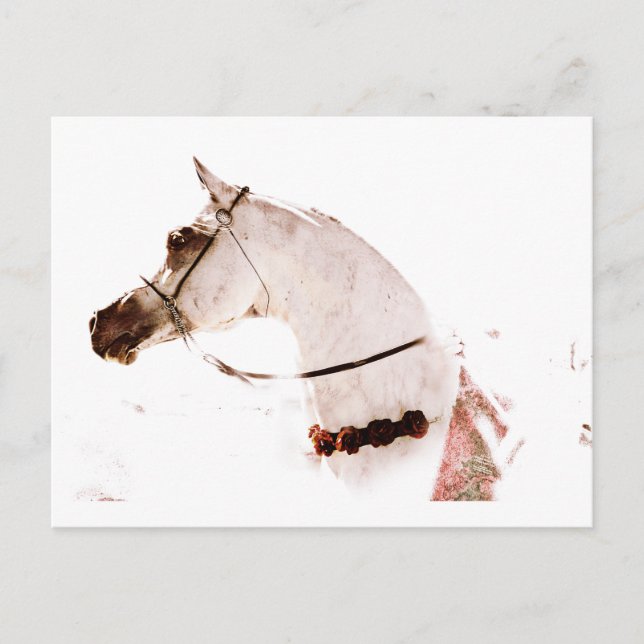 Carte Postale Roses sur une Grey (Devant)