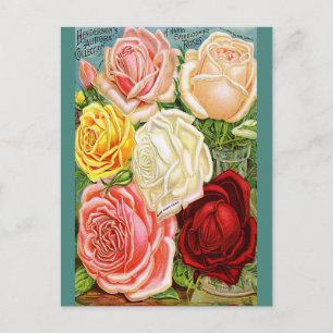 Carte Postale Roses vintages