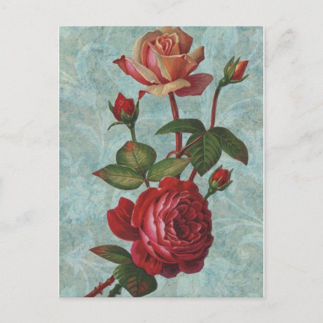 Carte Postale Roses vintages (Devant)