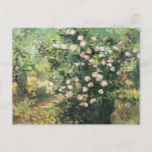 Carte Postale Rosier en fleurs de Vincent van Gogh
