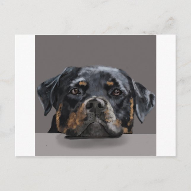Carte Postale Rottweiler (Devant)