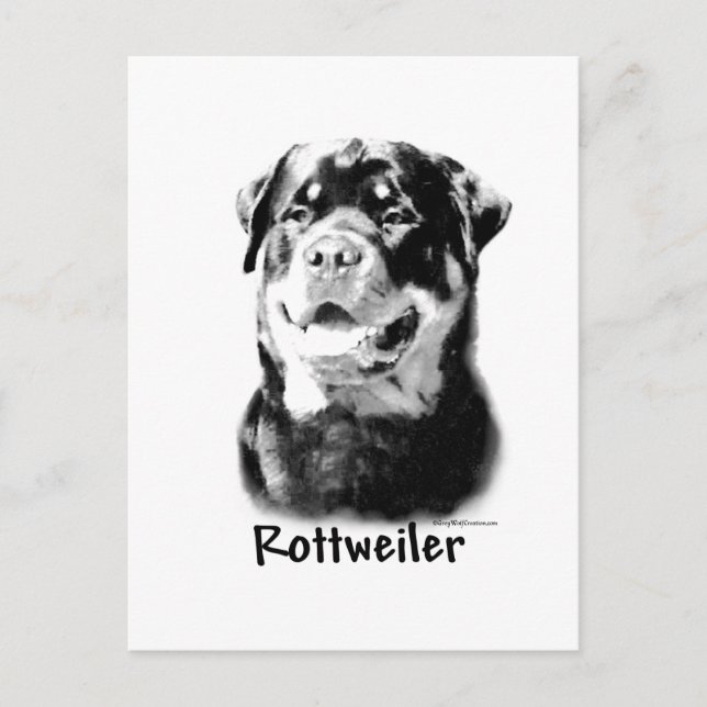 Carte Postale Rottweiler Charbon (Devant)