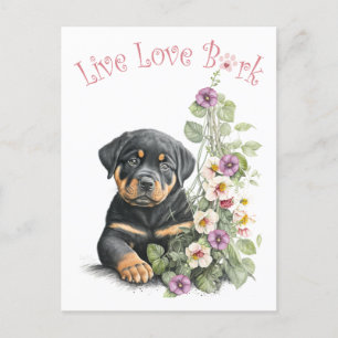 Carte Postale Rottweiler Chien Maman Florale