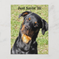 Carte postale Rottweiler Just Sayin' Hi