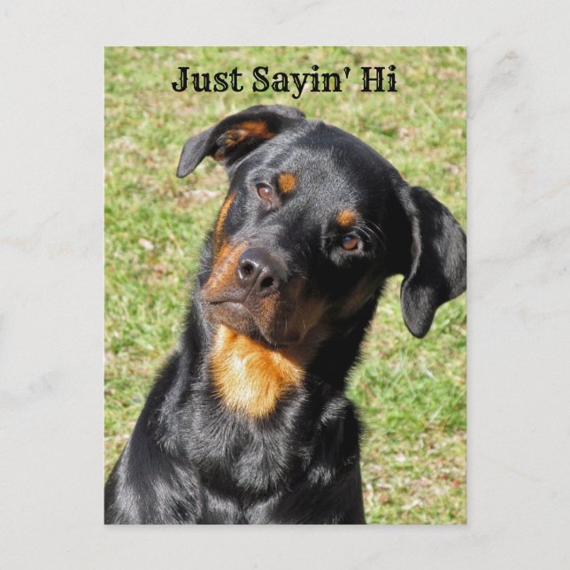 Carte postale Rottweiler Just Sayin' Hi (Devant)