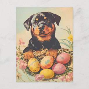 Carte Postale Rottweiler Pâques Vintages